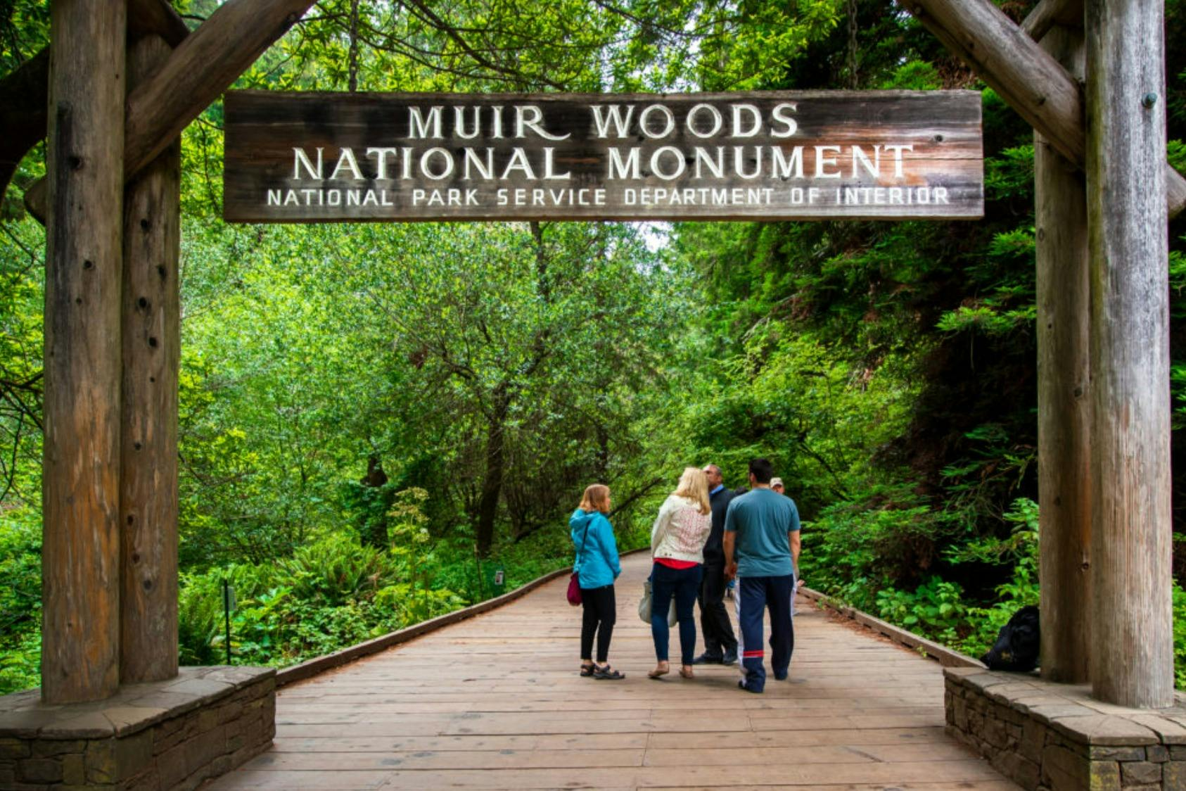 San Francisco: Muir Woods Bus & Golden Gate Bridge Bike Tour - Photo 1 of 8